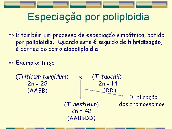 Especiação por poliploidia => É também um processo de especiação simpátrica, obtido por poliploidia. Especiação por poliploidia => É também um processo de especiação simpátrica, obtido por poliploidia.