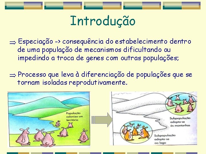 Introdução Especiação -> consequência do estabelecimento dentro de uma população de mecanismos dificultando ou Introdução Especiação -> consequência do estabelecimento dentro de uma população de mecanismos dificultando ou