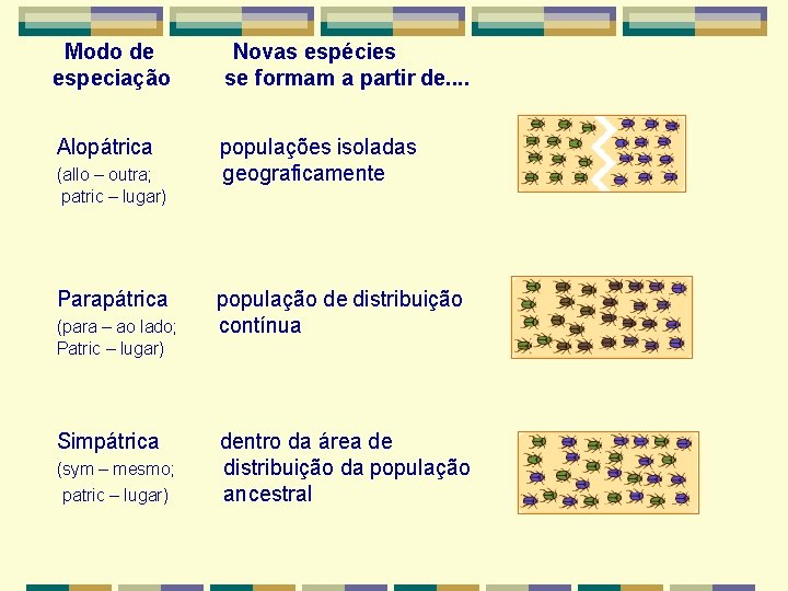 Modo de especiação Novas espécies se formam a partir de. . Alopátrica populações isoladas Modo de especiação Novas espécies se formam a partir de. . Alopátrica populações isoladas
