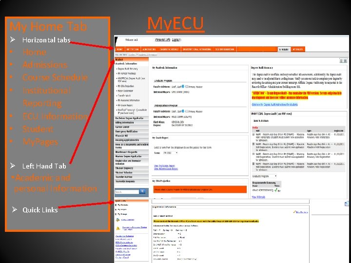 My Home Tab Ø Horizontal tabs Home Admissions Course Schedule Institutional Reporting • ECU
