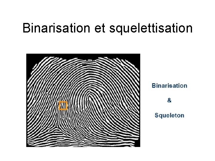 Binarisation et squelettisation 