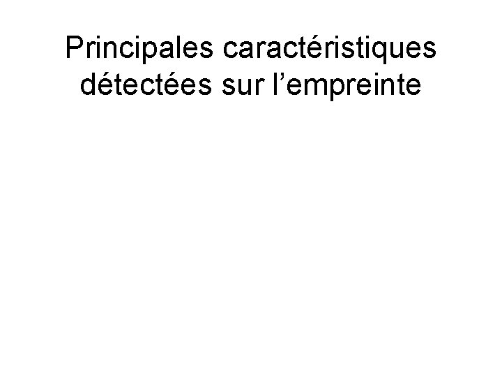 Principales caractéristiques détectées sur l’empreinte 