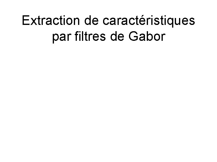 Extraction de caractéristiques par filtres de Gabor 