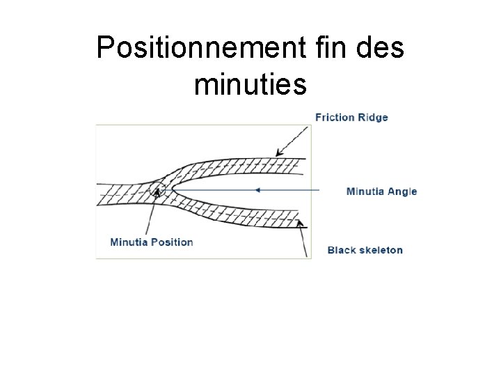 Positionnement fin des minuties 