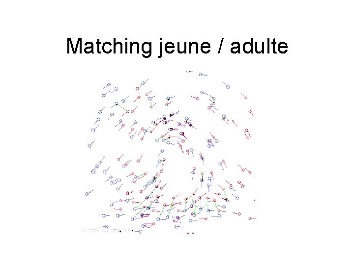 Matching jeune / adulte 