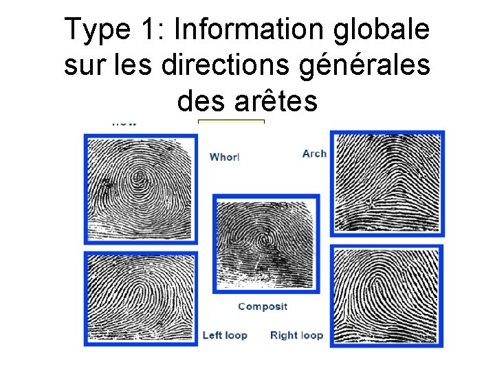 Type 1: Information globale sur les directions générales des arêtes spirale 