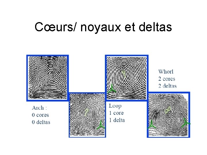 Cœurs/ noyaux et deltas 