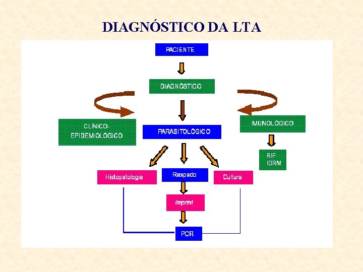 DIAGNÓSTICO DA LTA 