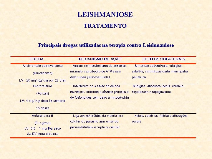 LEISHMANIOSE TRATAMENTO Principais drogas utilizadas na terapia contra Leishmaniose 