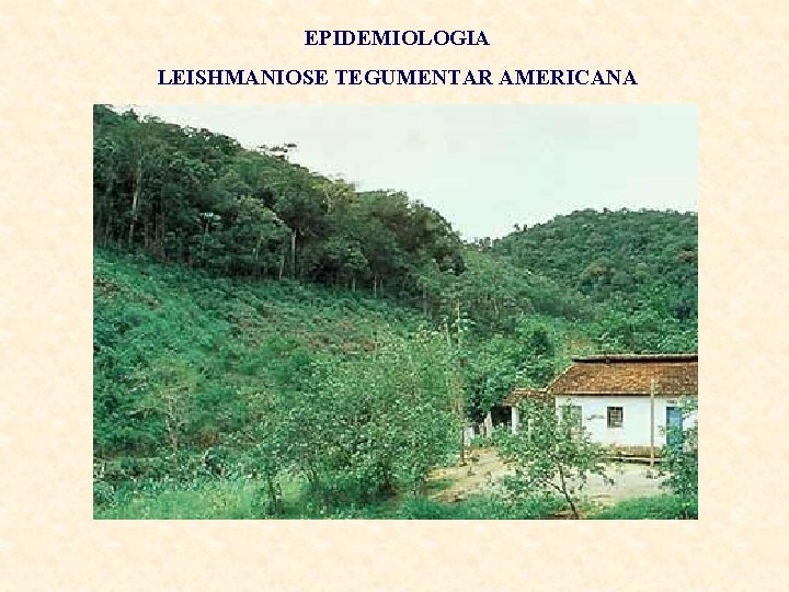 EPIDEMIOLOGIA LEISHMANIOSE TEGUMENTAR AMERICANA 