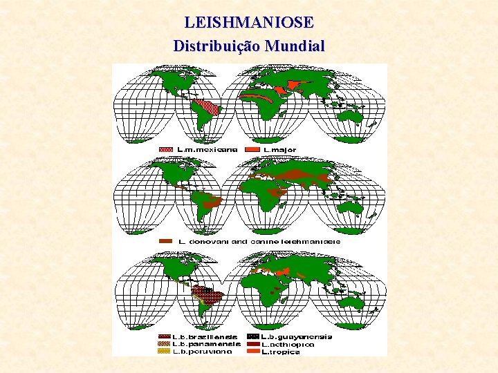 LEISHMANIOSE Distribuição Mundial 
