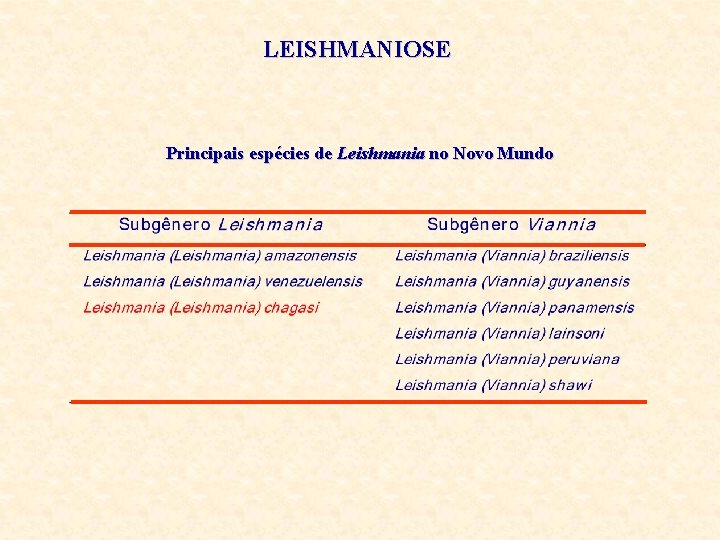 LEISHMANIOSE Principais espécies de Leishmania no Novo Mundo 