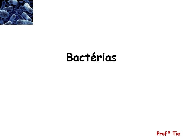 Bactérias Profº Tie 