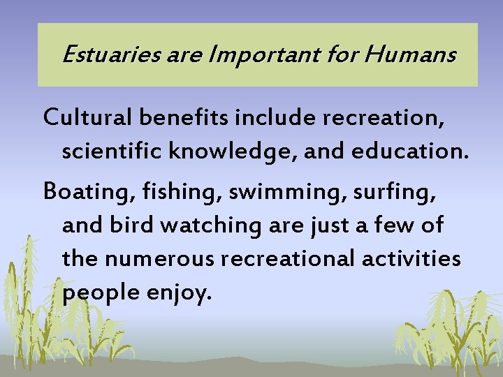 Estuaries are Important for Humans Cultural benefits include recreation, scientific knowledge, and education. Boating, Estuaries are Important for Humans Cultural benefits include recreation, scientific knowledge, and education. Boating,
