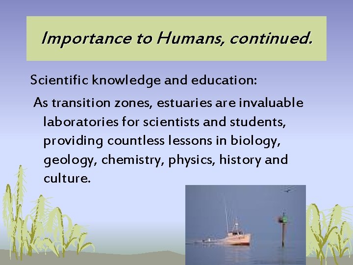Importance to Humans, continued. Scientific knowledge and education: As transition zones, estuaries are invaluable Importance to Humans, continued. Scientific knowledge and education: As transition zones, estuaries are invaluable