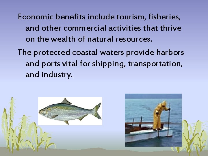 Economic benefits include tourism, fisheries, and other commercial activities that thrive on the wealth Economic benefits include tourism, fisheries, and other commercial activities that thrive on the wealth