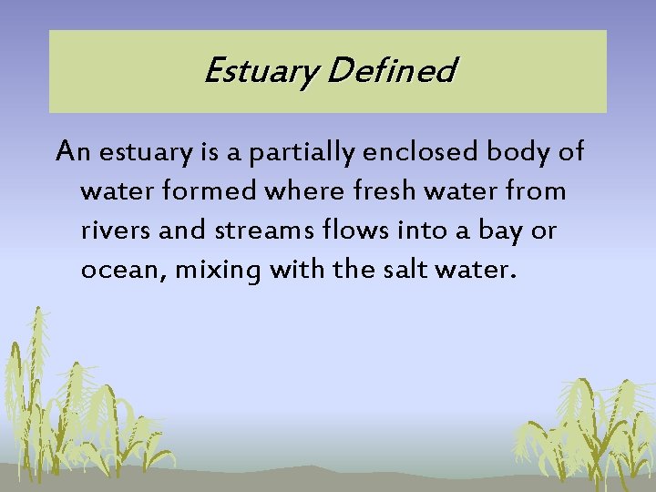 Estuary Defined An estuary is a partially enclosed body of water formed where fresh Estuary Defined An estuary is a partially enclosed body of water formed where fresh