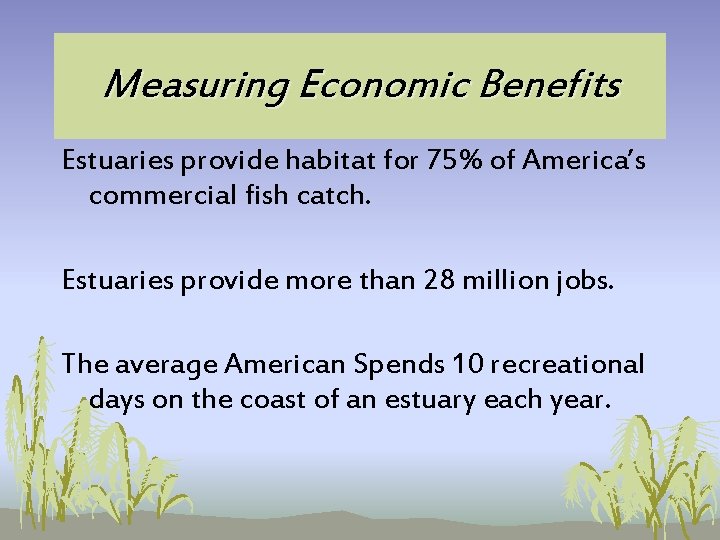 Measuring Economic Benefits Estuaries provide habitat for 75% of America’s commercial fish catch. Estuaries Measuring Economic Benefits Estuaries provide habitat for 75% of America’s commercial fish catch. Estuaries