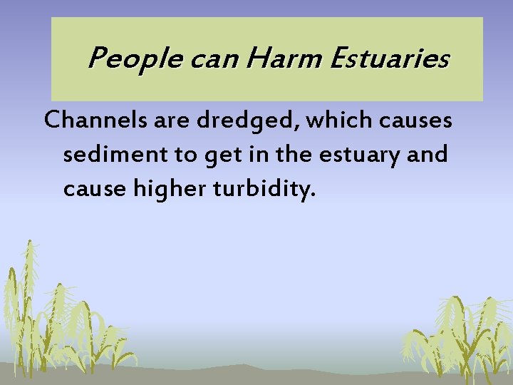 People can Harm Estuaries Channels are dredged, which causes sediment to get in the People can Harm Estuaries Channels are dredged, which causes sediment to get in the