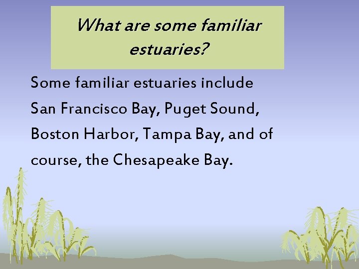 What are some familiar estuaries? Some familiar estuaries include San Francisco Bay, Puget Sound, What are some familiar estuaries? Some familiar estuaries include San Francisco Bay, Puget Sound,
