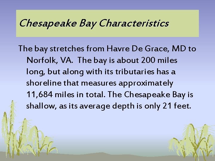 Chesapeake Bay Characteristics The bay stretches from Havre De Grace, MD to Norfolk, VA. Chesapeake Bay Characteristics The bay stretches from Havre De Grace, MD to Norfolk, VA.