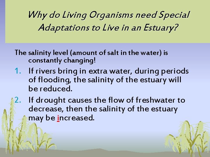 Why do Living Organisms need Special Adaptations to Live in an Estuary? The salinity Why do Living Organisms need Special Adaptations to Live in an Estuary? The salinity