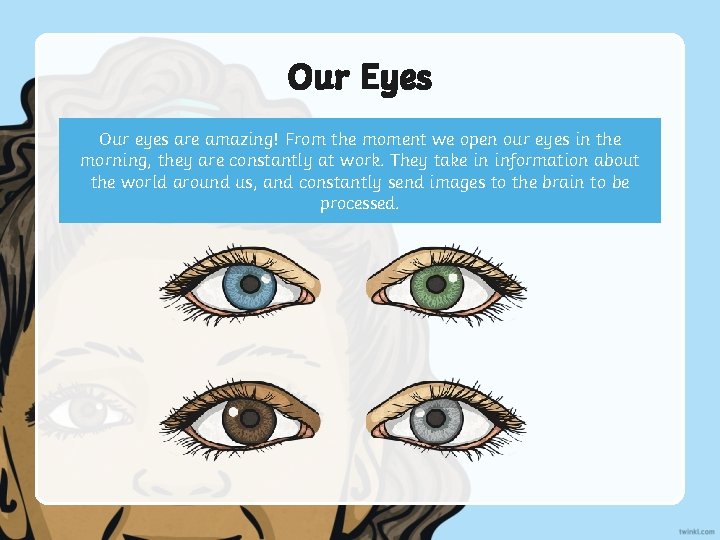 Our Eyes Our eyes are amazing! From the moment we open our eyes in