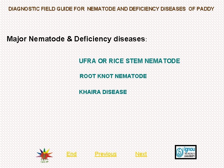 DIAGNOSTIC FIELD GUIDE FOR NEMATODE AND DEFICIENCY DISEASES OF PADDY Major Nematode & Deficiency