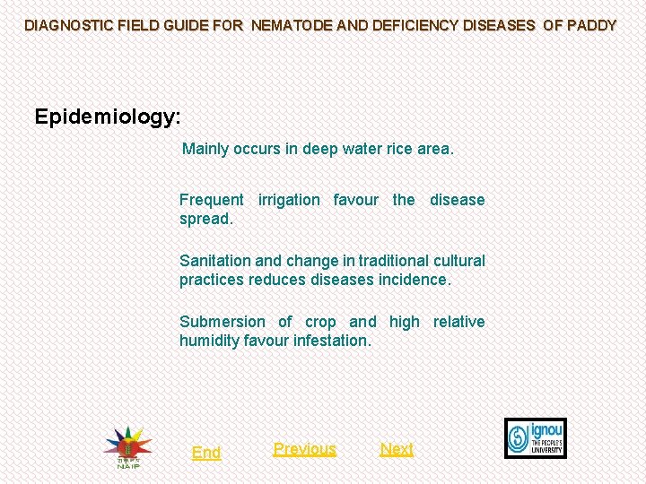 DIAGNOSTIC FIELD GUIDE FOR NEMATODE AND DEFICIENCY DISEASES OF PADDY Epidemiology: Mainly occurs in