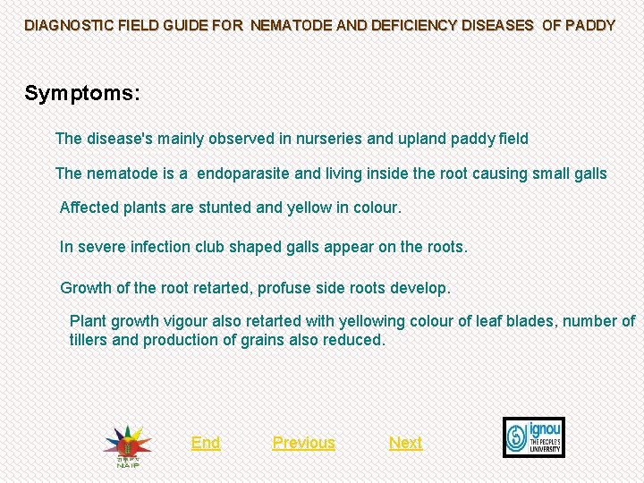 DIAGNOSTIC FIELD GUIDE FOR NEMATODE AND DEFICIENCY DISEASES OF PADDY Symptoms: The disease's mainly