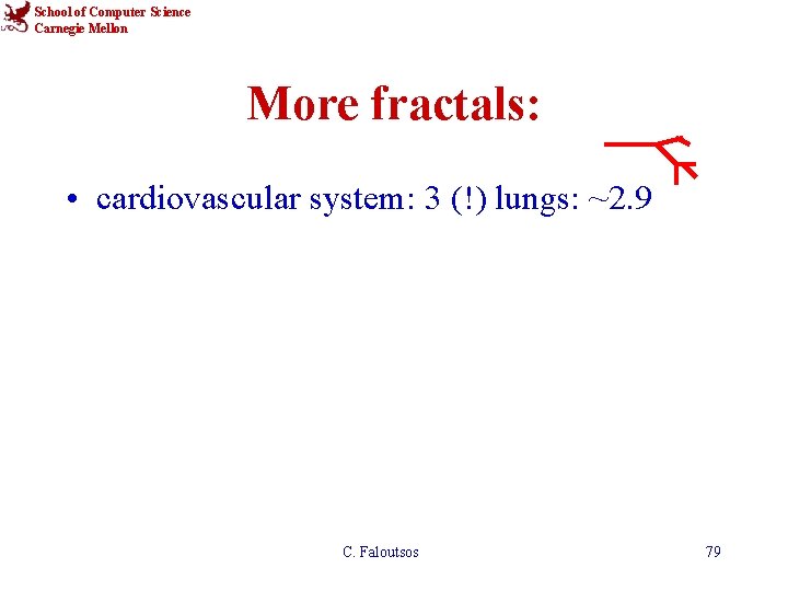 School of Computer Science Carnegie Mellon More fractals: • cardiovascular system: 3 (!) lungs:
