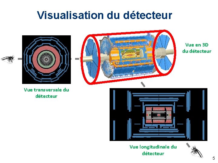 Visualisation du détecteur Vue en 3 D du détecteur Vue transversale du détecteur Vue