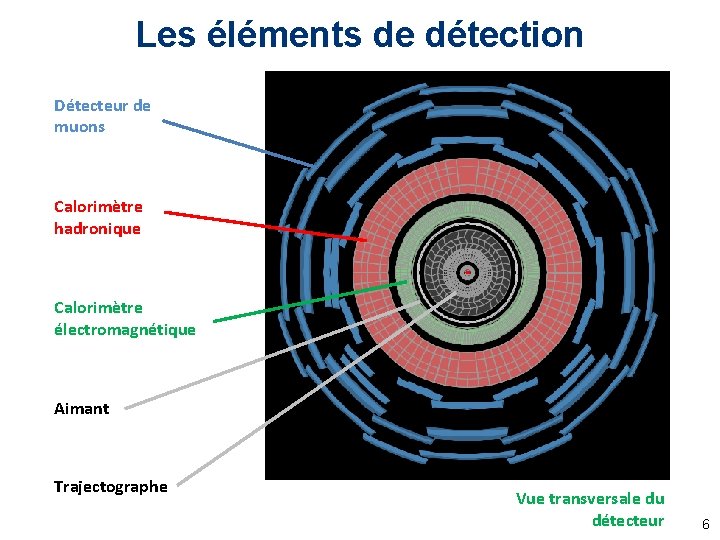 Les éléments de détection Détecteur de muons Calorimètre hadronique Calorimètre électromagnétique Aimant Trajectographe Vue