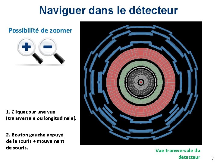 Naviguer dans le détecteur Possibilité de zoomer 1. Cliquez sur une vue (transversale ou