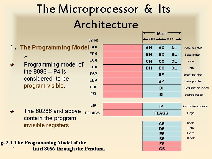 The Microprocessor & Its Architecture 16 -bit 32 -bit . 8 -bit 1 The