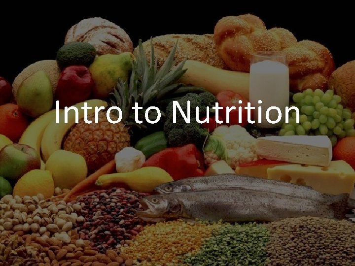 Intro to Nutrition 