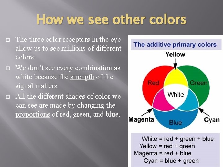 How we see other colors The three color receptors in the eye allow us How we see other colors The three color receptors in the eye allow us