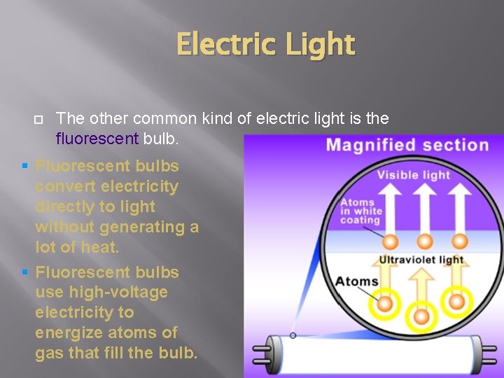 Electric Light The other common kind of electric light is the fluorescent bulb. § Electric Light The other common kind of electric light is the fluorescent bulb. §
