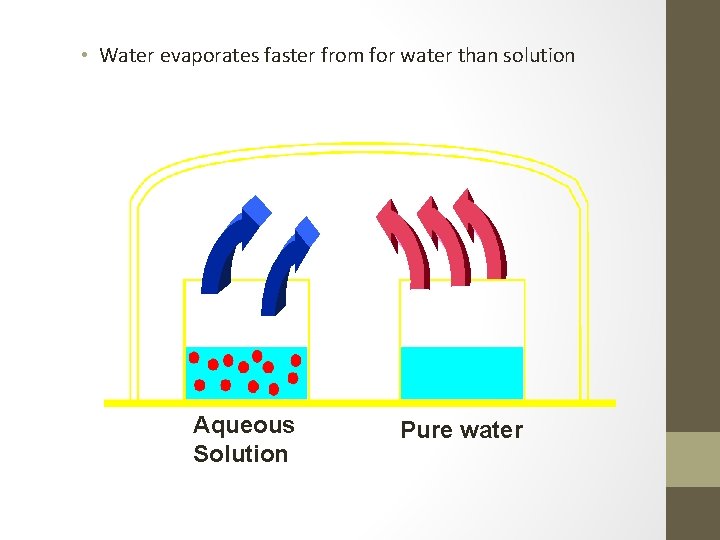  • Water evaporates faster from for water than solution Aqueous Solution Pure water