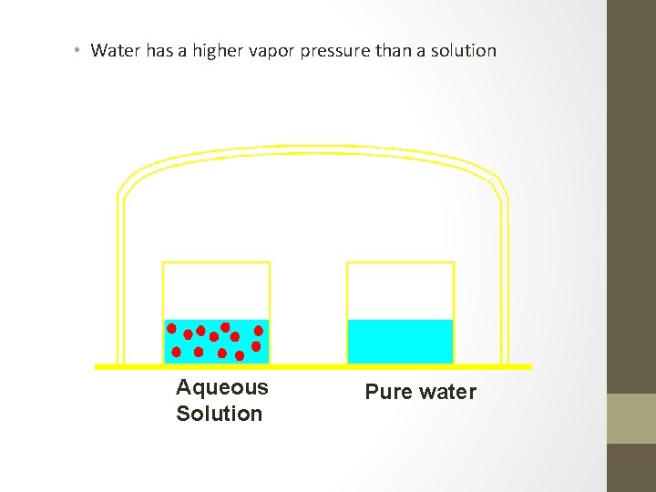  • Water has a higher vapor pressure than a solution Aqueous Solution Pure