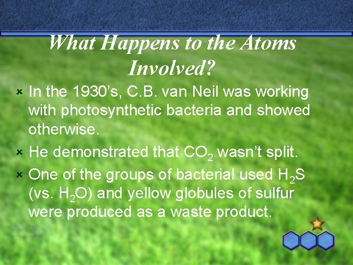 What Happens to the Atoms Involved? In the 1930’s, C. B. van Neil was