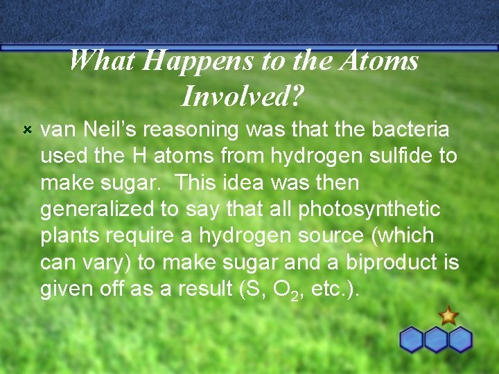 What Happens to the Atoms Involved? û van Neil’s reasoning was that the bacteria