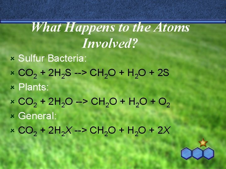 What Happens to the Atoms Involved? û û û Sulfur Bacteria: CO 2 +