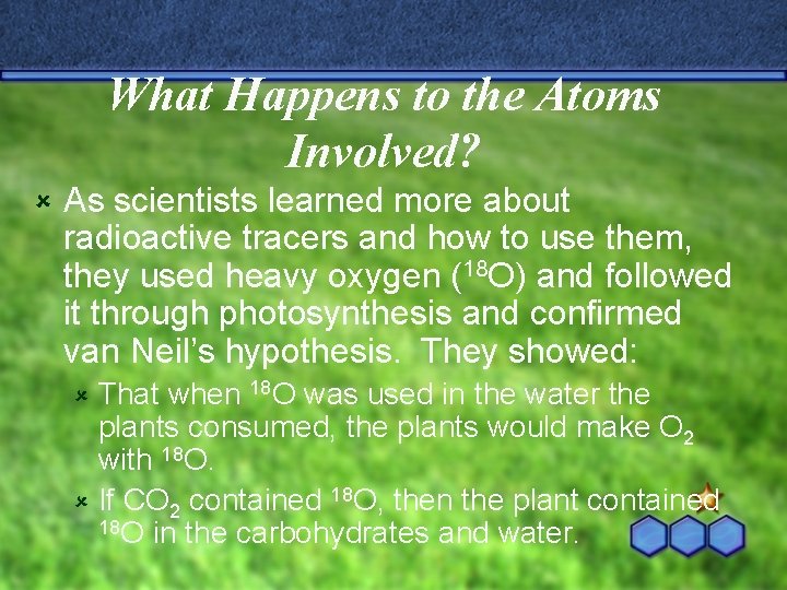 What Happens to the Atoms Involved? û As scientists learned more about radioactive tracers