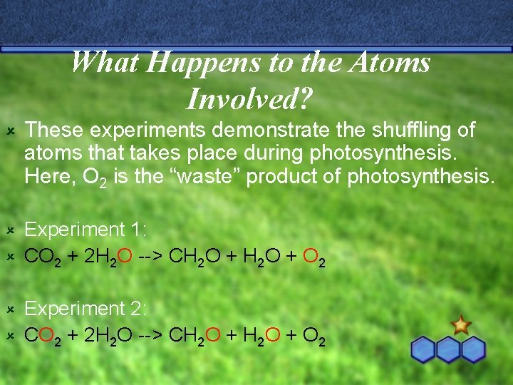 What Happens to the Atoms Involved? û These experiments demonstrate the shuffling of atoms