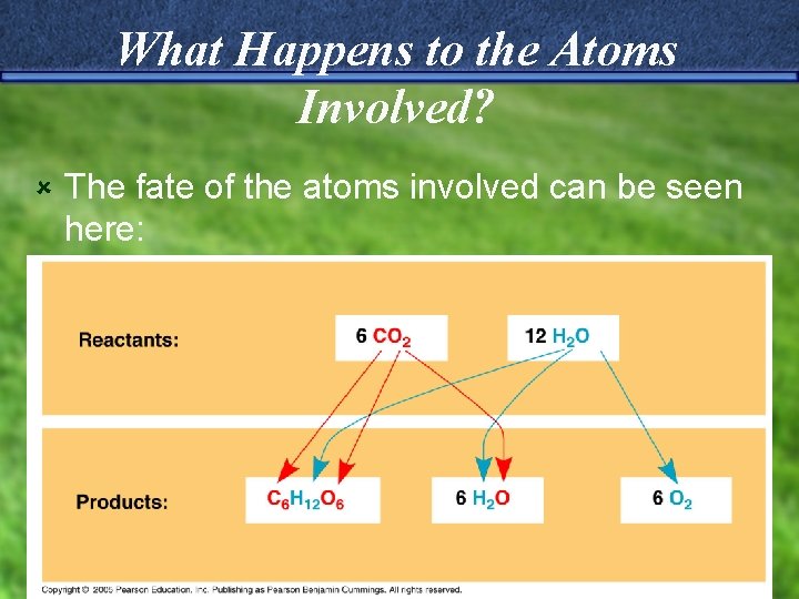 What Happens to the Atoms Involved? û The fate of the atoms involved can