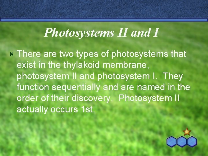 Photosystems II and I û There are two types of photosystems that exist in