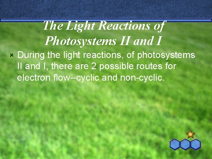 The Light Reactions of Photosystems II and I û During the light reactions, of
