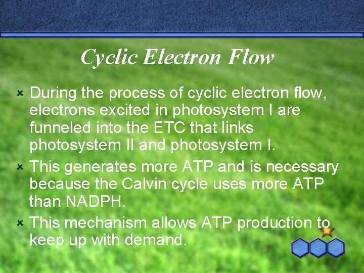 Cyclic Electron Flow During the process of cyclic electron flow, electrons excited in photosystem
