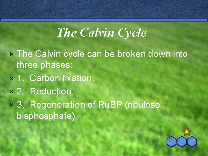 The Calvin Cycle The Calvin cycle can be broken down into three phases: û